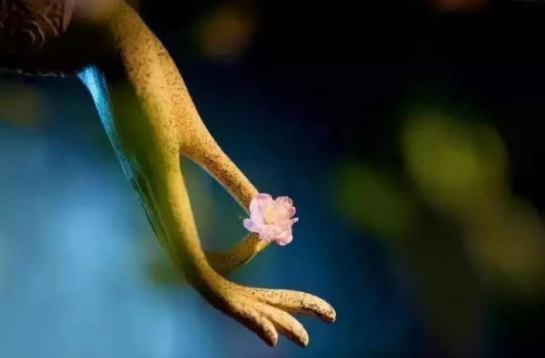 如何放下自己？佛說：所謂放下，就是去除你的4種心