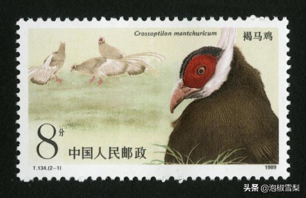 中國1989年發行的全部郵票圖片｜正負電子對撞機.火箭.孔子.癌症