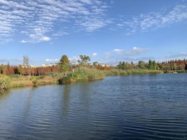 欣賞藍天白雲下的景色 欣賞藍天白雲下的景色