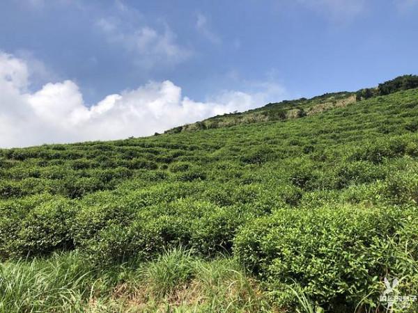 野遊在大嵛山島——中國十大最美海島 野遊在大嵛山島——中國十大最美海島