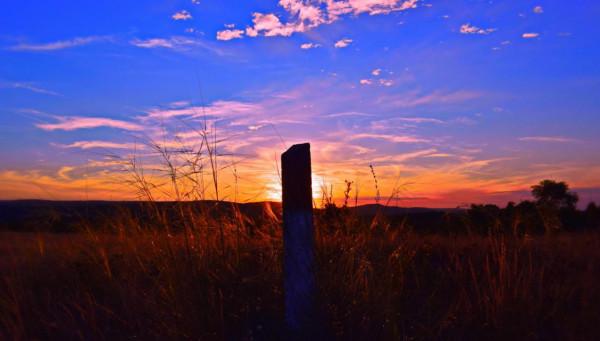 能獨處，不輕易合群的星座，真正的成熟，是獨立，是泰然自若