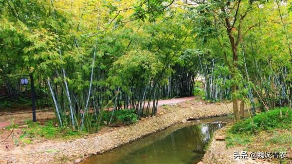 廣東省文化和旅遊特色村及鄉村旅遊精品線路