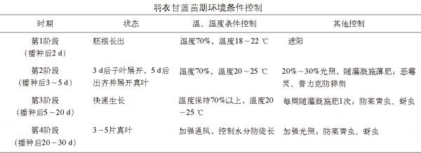 觀賞型羽衣甘藍，如何水培？