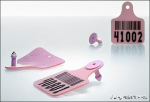 RFID、區塊鏈為辛巴威的牛群提供健康狀況的數字記錄 RFID、區塊鏈為辛巴威的牛群提供健康狀況的數字記錄