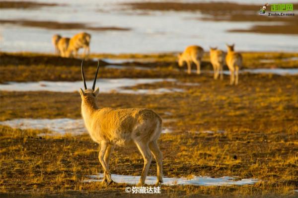 這些景點太治癒了，看完心情好了10000倍