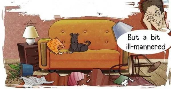 給流浪狗安家容易，改變它流浪的辛難，其實你只需要這麼做…漫畫