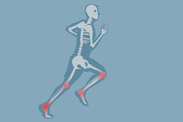 歐美人有206塊骨頭，中國人有204塊，為何中國人骨頭比歐美人少？