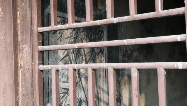 北京植物園古廟宇,規模不大歷史悠久,幾幅壁畫有來頭 北京植物園古廟宇,規模不大歷史悠久,幾幅壁畫有來頭