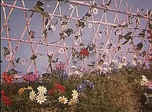 老電影（0542）《三朵小紅花》北京電影製片廠（1965）劇照欣賞