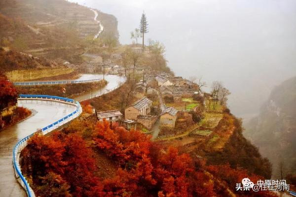 老家河南，門口那條路，越來越美了（配圖）