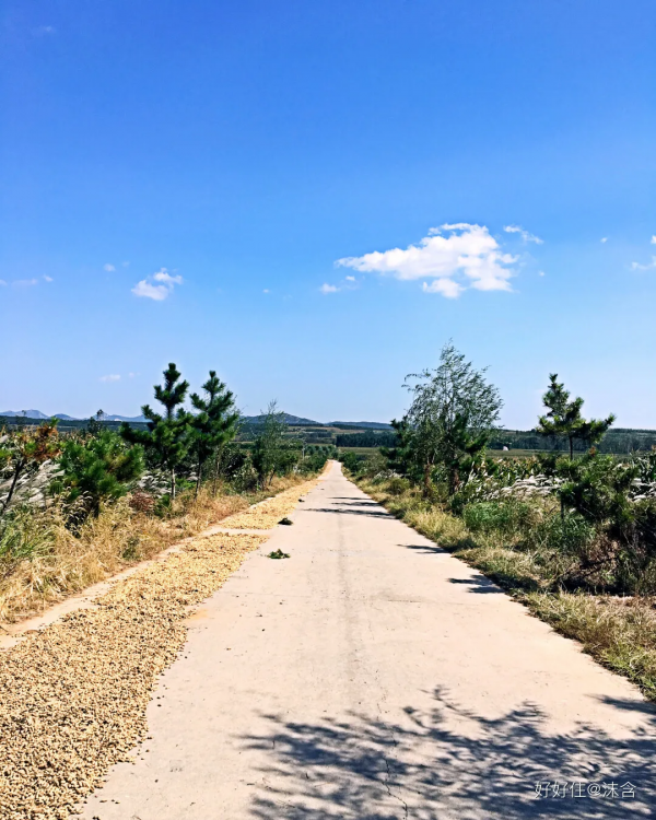 獨居女子神級改造60平小戶型，竟塞下五大功能區，收納顏值雙逆襲