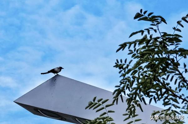 2020年度華為旗艦機皇Mate 40 Pro放到現在還能打嗎？