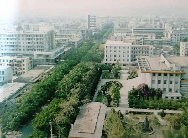 1947年廣東夫婦收養印尼棄嬰&comma;傾家蕩產給他創業&comma;50年後他億萬身家