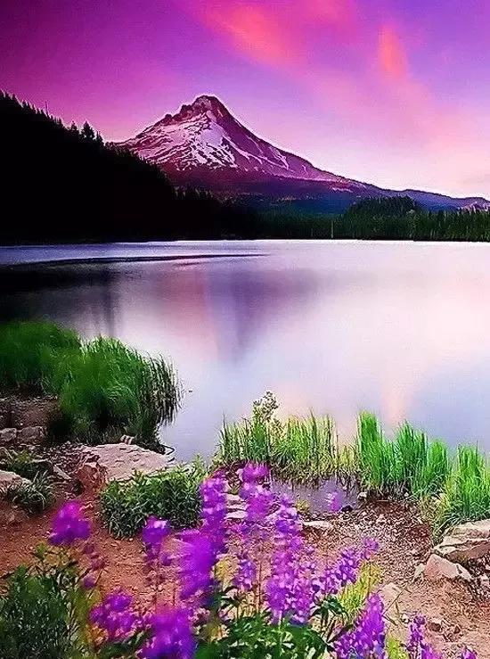 人間仙境美極了