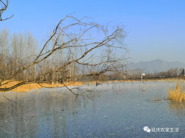 冰釣，享受冬季的樂趣