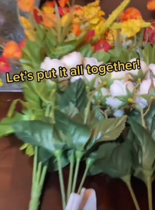 貓咪當店長,松鼠小鳥是食客,美國這個露天迷你咖啡店,太萌了 貓咪當店長,松鼠小鳥是食客,美國這個露天迷你咖啡店,太萌了