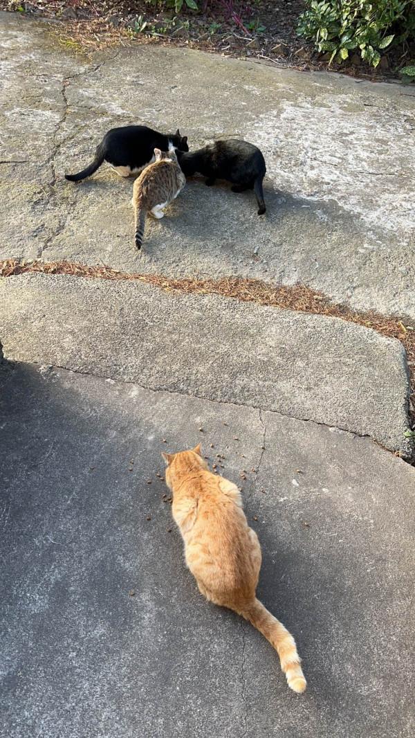 時過一年，又來翻包了——魔都土著老漢的EDC