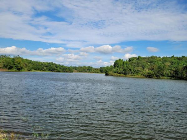 有沒有什麼事情能讓你風雨無阻 有沒有什麼事情能讓你風雨無阻