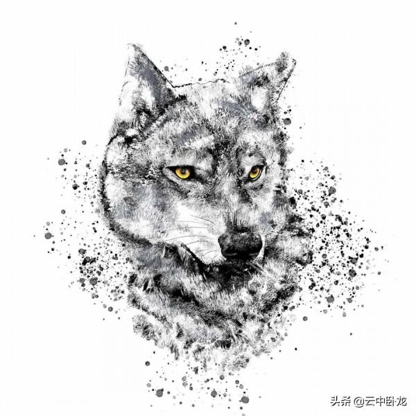 老韓講了一個故事:一隻叫丁樹華的牧羊犬 老韓講了一個故事:一隻叫丁樹華的牧羊犬