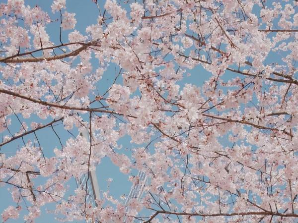 有城府,經常把真實樣子藏起來的星座,為人不看重表面的東西 有城府,經常把真實樣子藏起來的星座,為人不看重表面的東西