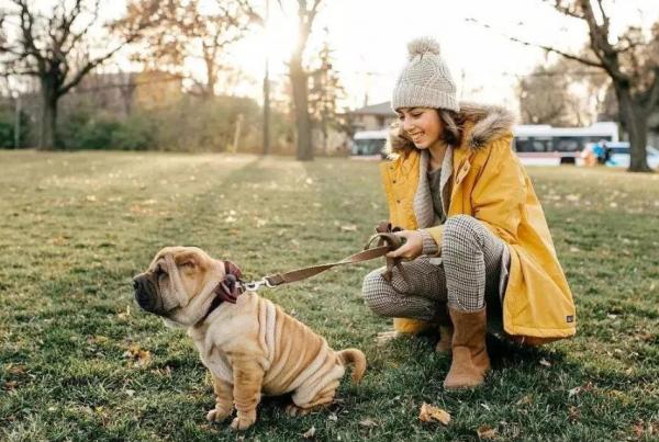 想養狗，先戒掉你這5個壞習慣吧