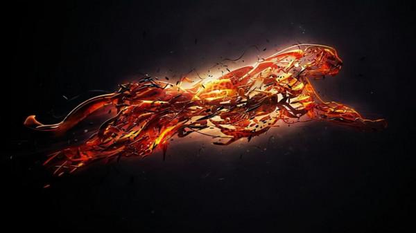 世界上速度最快的動物盤點，獵豹只能排第五名