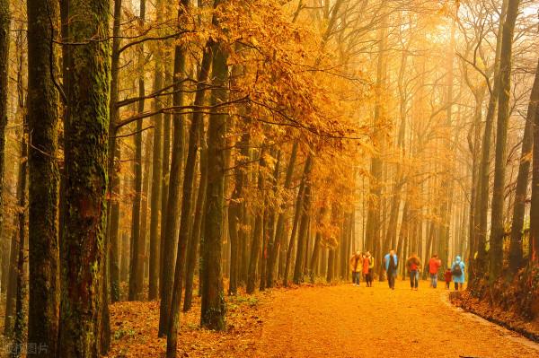 人少景美|9個寶藏旅遊地,深秋初冬一網打盡 人少景美|9個寶藏旅遊地,深秋初冬一網打盡