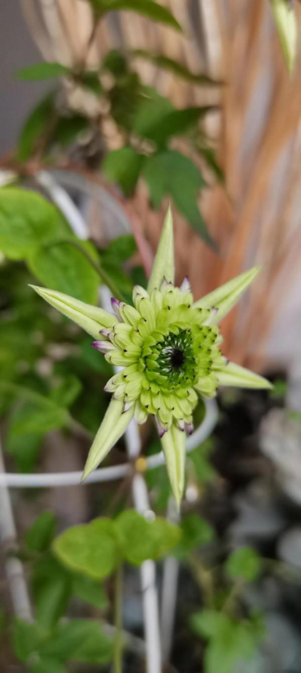 一個轉身，秋天成了風景，冬天成了期待，好好生活，慢慢相遇