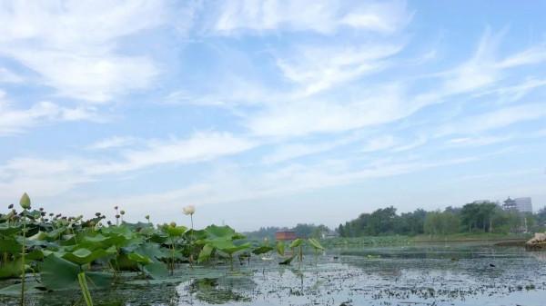 河北河間,你到底美在哪裡? 河北河間,你到底美在哪裡?