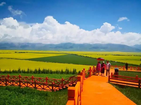 多年自駕旅行經驗總結：如何保障與朋友結伴出遊時旅途愉悅