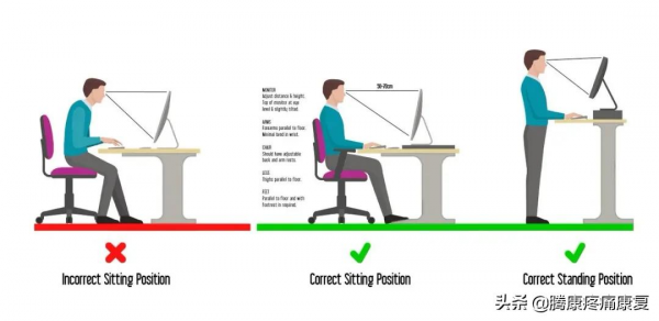身體是透過什麼維持姿勢和平衡的? 身體是透過什麼維持姿勢和平衡的?