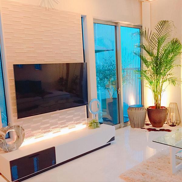 乾淨整潔的白色房間，配上不同品種，不同大小的綠植，效果大不同