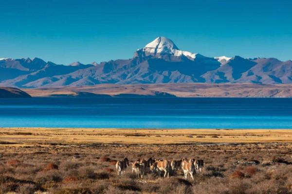 自駕西藏,你需要知道的10個問題 自駕西藏,你需要知道的10個問題