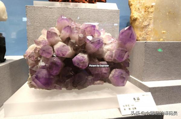 貴州地質博物館內的那些珍惜礦石（化石）、寶石你最喜歡那一塊？