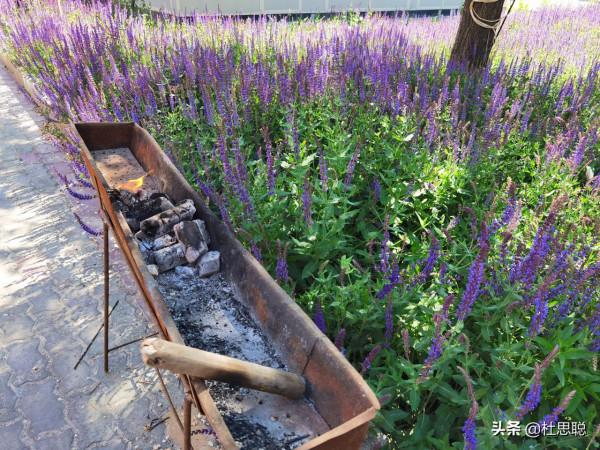 漢EV自駕新疆，第一次使用自動泊車，第一次自制烤串真香啊