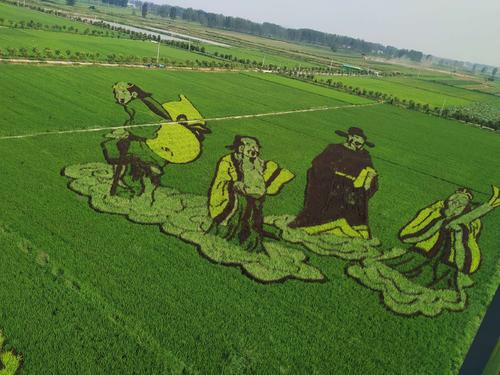 河南一低調縣城，規模不大稻田畫卻超美，門票免費名氣不大