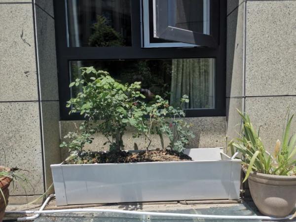 天溝二培槽的製作詳解 天溝二培槽的製作詳解