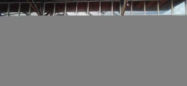 50元一天的撫仙湖岸邊小客棧，15元一公斤的小活蝦，體驗農家野趣