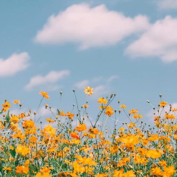 人生本過客，得失皆隨緣