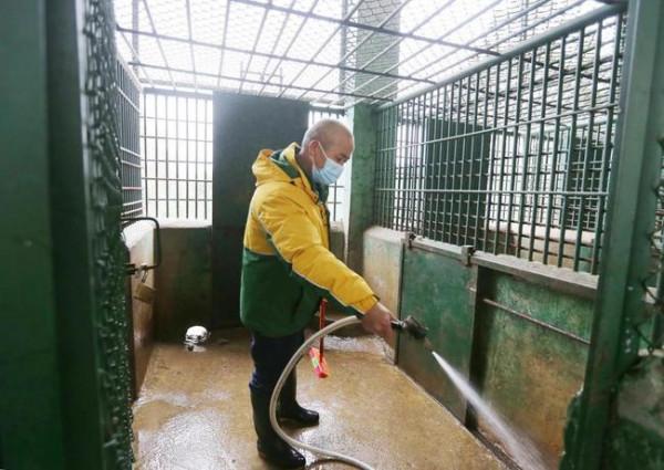 &OpenCurlyDoubleQuote;獸王之父&rdquo;夏功華的一天