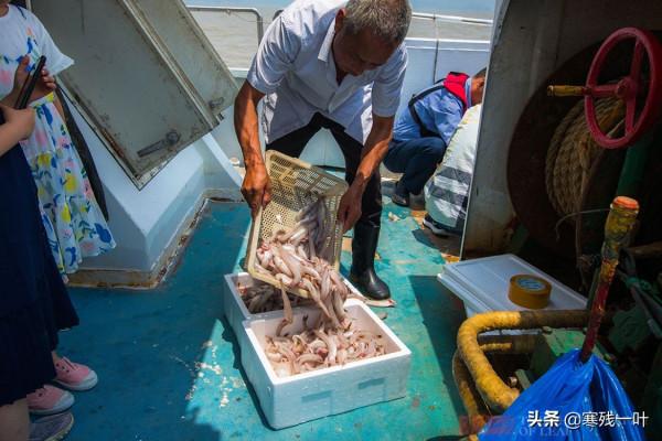 二十人4500元包船出海捕魚，捕獲的海鮮吃完一餐，每人還分到一箱