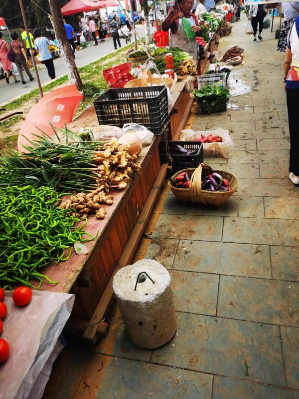 小河灣一遊 小河灣一遊