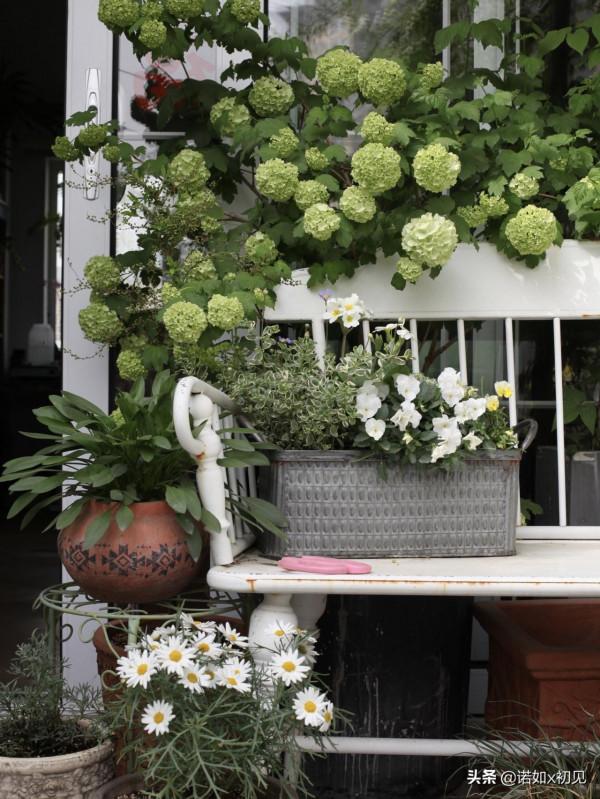 我的露臺花園標誌性的白色長椅