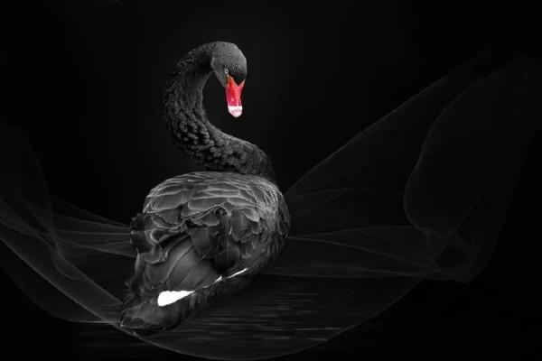 恆大風險是一個黑天鵝事件，必然引起多米諾骨牌效應