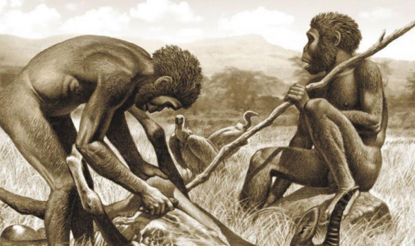 “夏娃理論”遭質疑，人類並非起源於非洲？中國發現的化石是關鍵