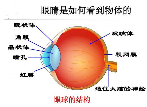 為什麼說“紫色”並不存在？難道我們看到的顏色都是幻覺嗎？