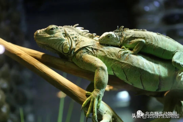 「溫情時刻」定格瞬間，感受美好