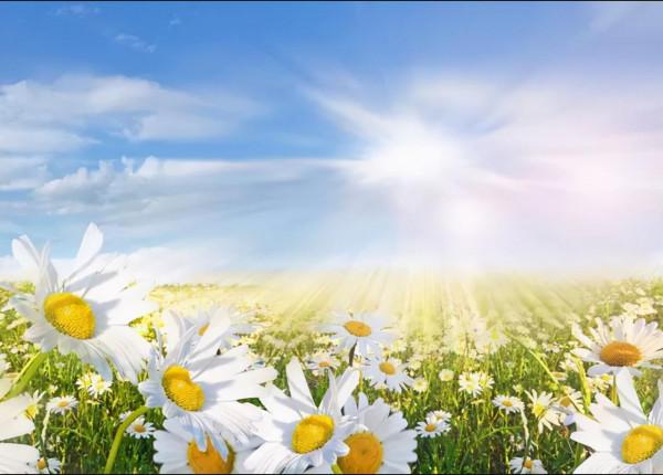 不成熟,有哪些表現? 不成熟,有哪些表現?