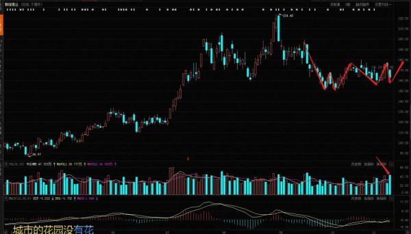 特斯拉大跌連累今天的新能源？醒醒吧