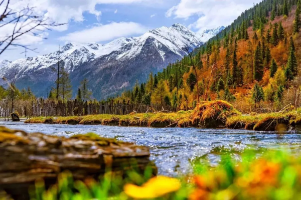 紅葉最佳觀賞期！這些地方全都美成了仙境，趕緊出發
